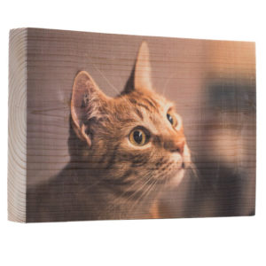 Holzdruck Foto auf Holz Lumbeiprint