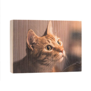 Holzdruck Foto auf Holz Lumberprint