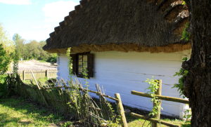 Wohnhäusern aus der Gegend um Białowieża